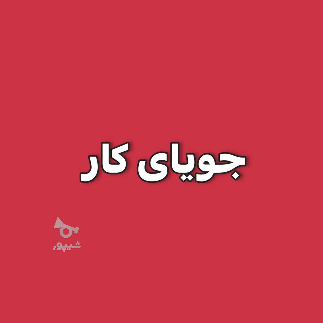 جویای کار هستم(جنسیت خانم) - undefined