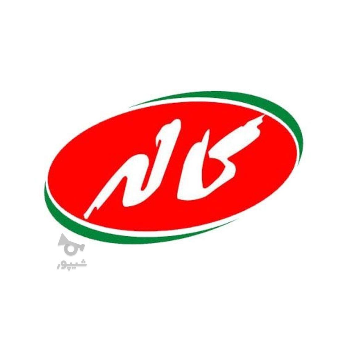 ویزیتور حضوری - احسان