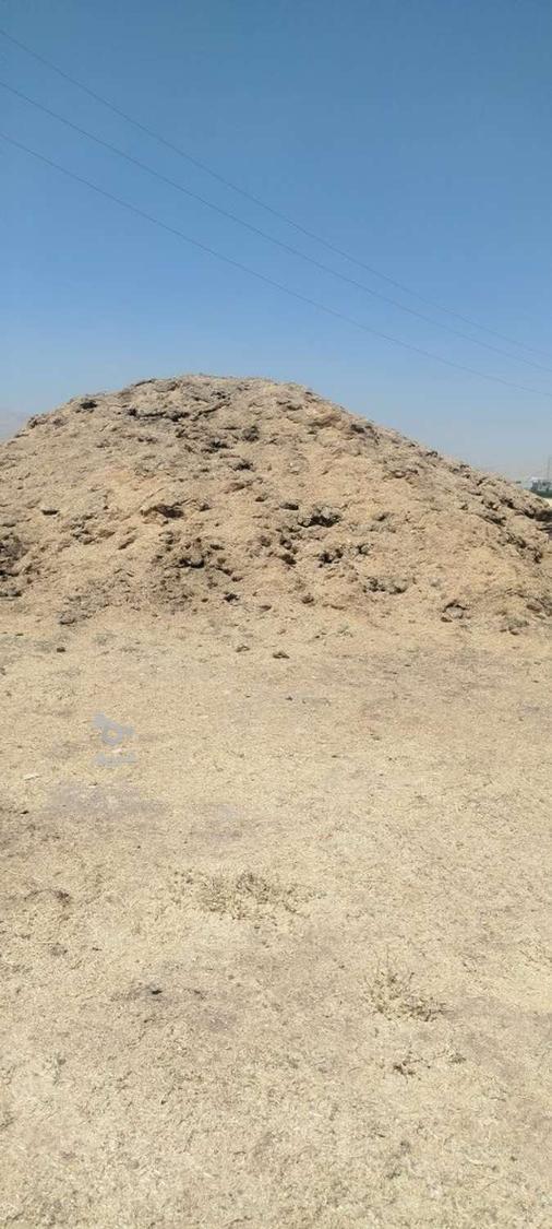 کاه پارسال و امسال