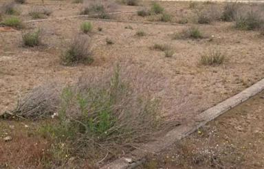 فروش زمین ساحلی شهرکی 192 متر ساحل چپکرود