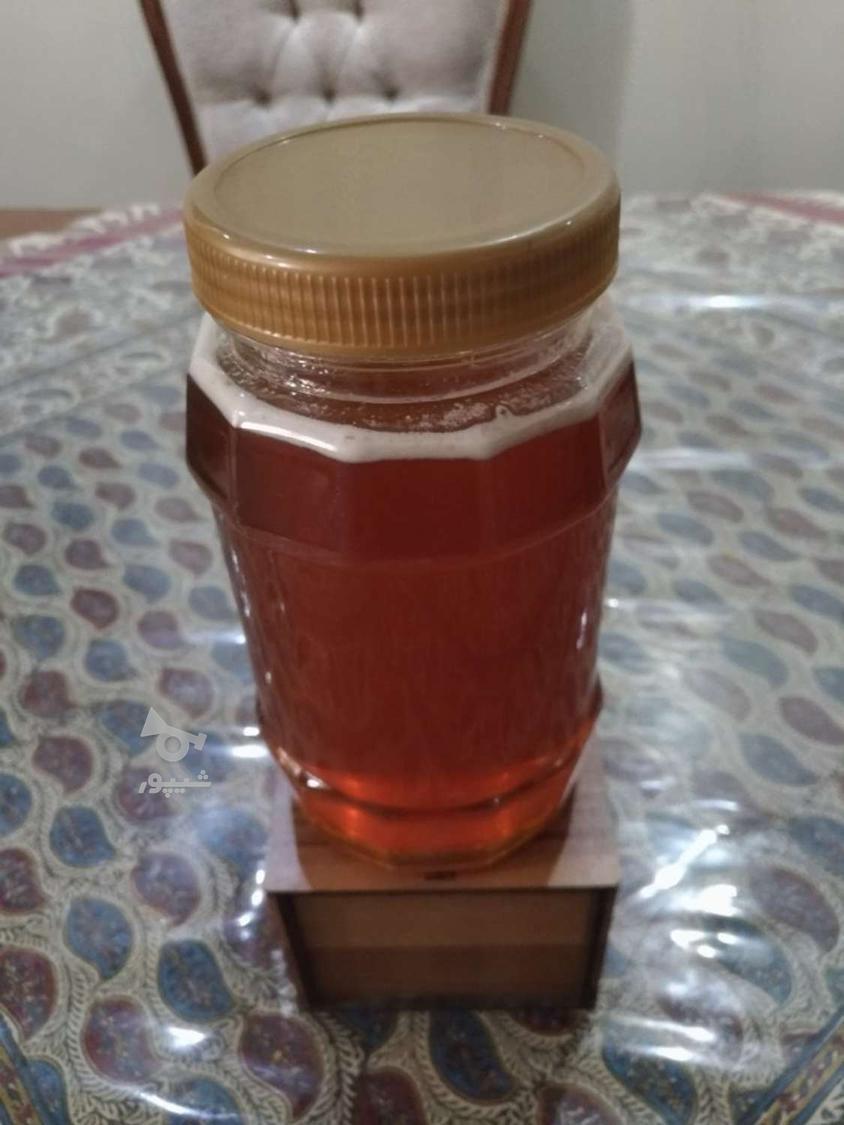 عسل کنار درجه یک امسال