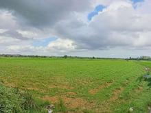 فروش زمین کشاورزی 4000 متری در خیابان ام.آر.آی در شیپور