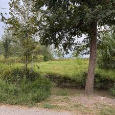 فروش 774 متر زمین روستایی لنگرود سراجار