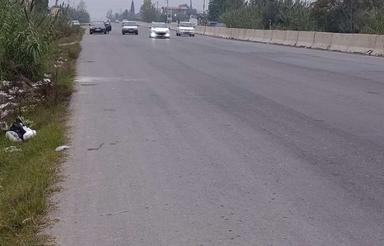 فروش 1200 متر زمین بر جاده اصلی قائمشهر