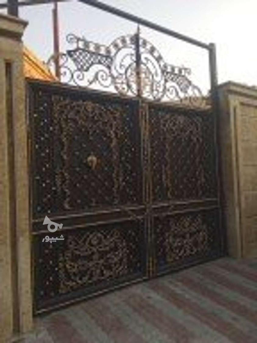 نقاش حرفه ای