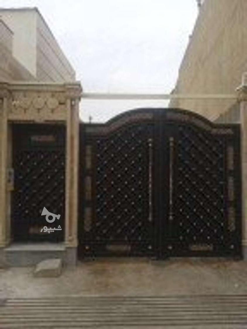 نقاش حرفه ای