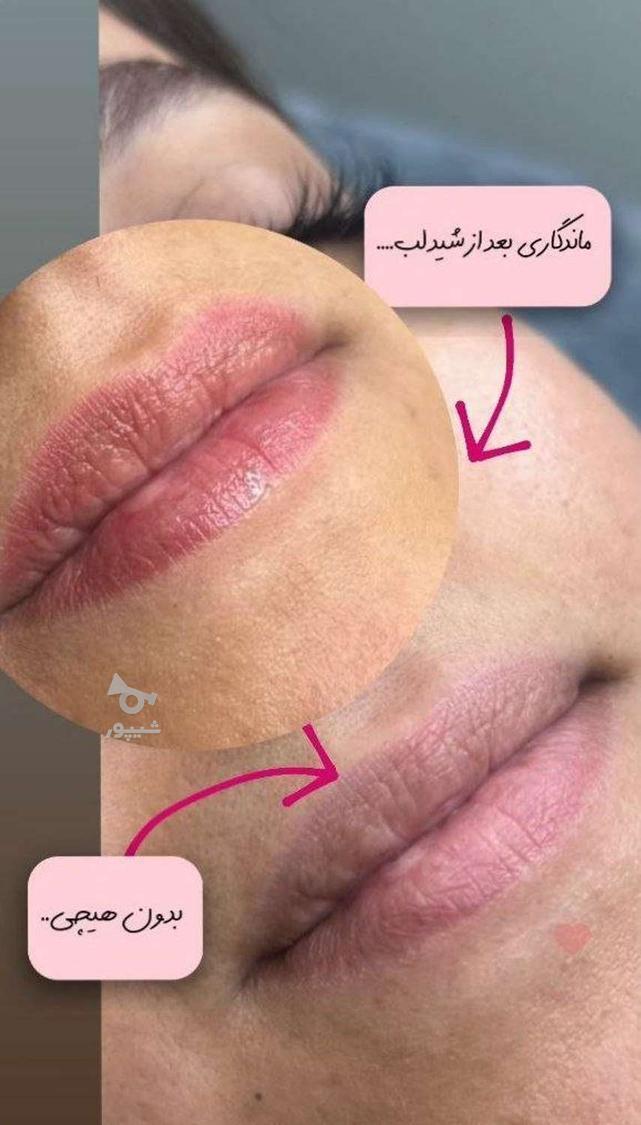 آموزش تخصصی میکروبلیدینگ ابرو، شیدینگ لب، فیکانتور چشم