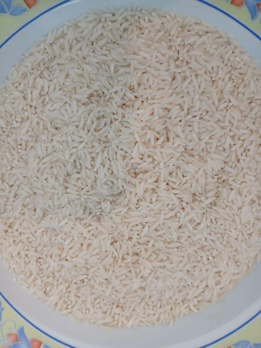 برنج فجر 143و هاشمی 236و لاشه 134ت