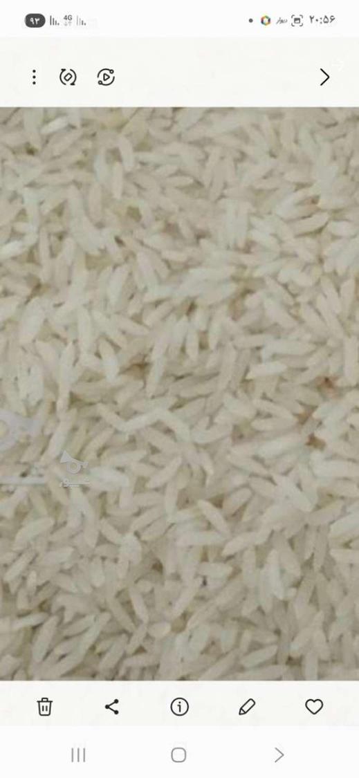 برنج فجر 143و هاشمی 236و لاشه 134ت