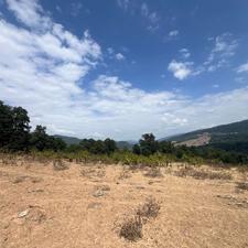 فروش زمین کشاورزی 10000 متر در روستای نقیب ده