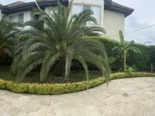 فروش ویلا 320 متر در نعمت آباد در شیپور