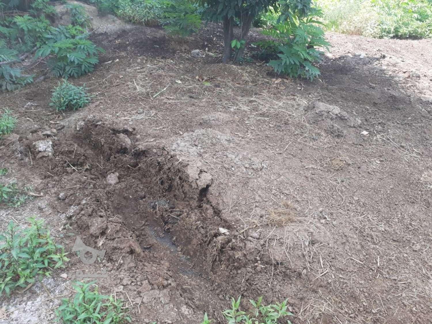 فروش موک گاوی کود