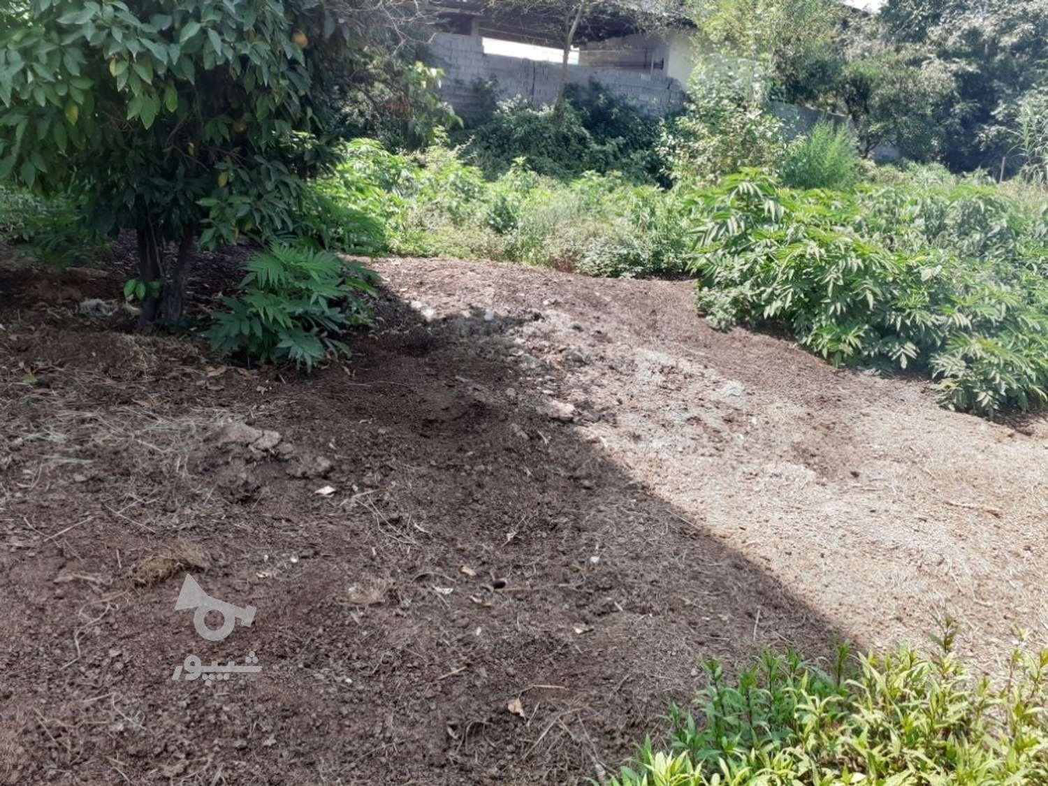 فروش موک گاوی کود