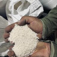 فروش برنج درجه یک طارم هاشمی