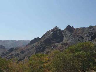 فروش نقدی زمین کشاورزی با چشمه و قنات در بیرجند