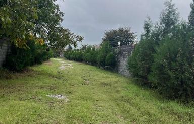 300 متر زمین مسکونی ٫ قیمت عالی ٫ توریستی٫قادیکلا