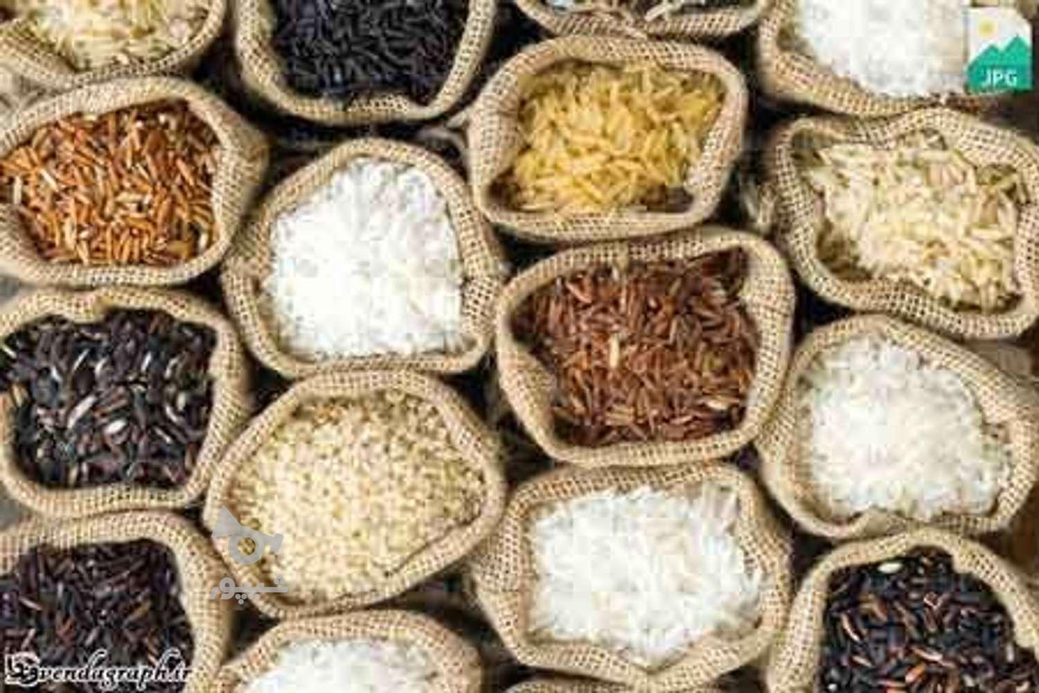 فروش برنج سالم مستقیم از کشاورز