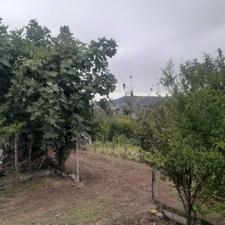 فروش زمین کشاورزی 485 متر در سانخیل