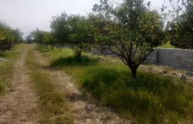 فروش زمین مسکونی 1400 متر در لامیزده