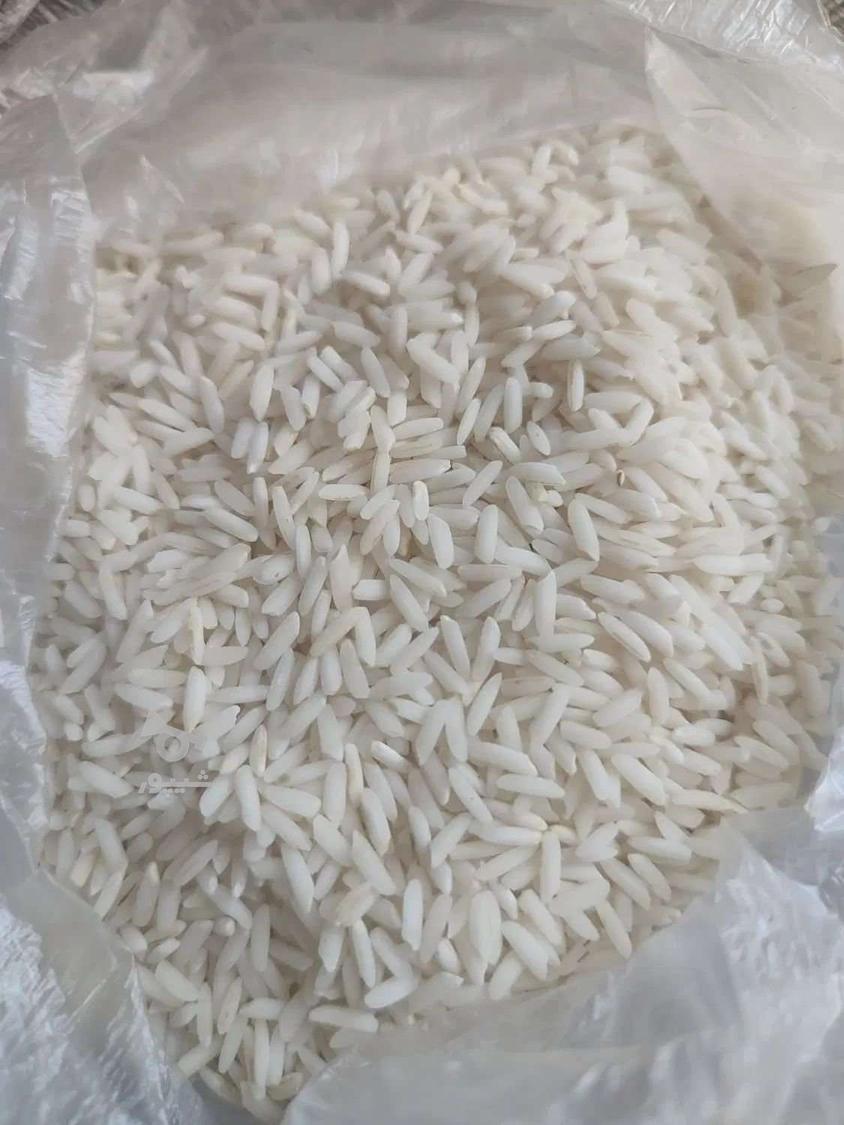 برنج طارم هاشمی فوق اعلا