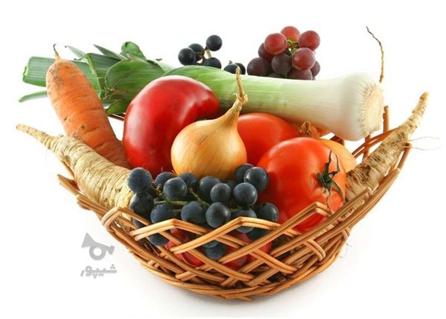 10 نفر کارگر ساده هستیم - کاک شورش