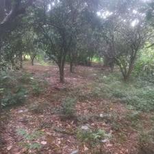 700متر ویل دارای 200متر بنا و سند {کاملتر توضیحات}