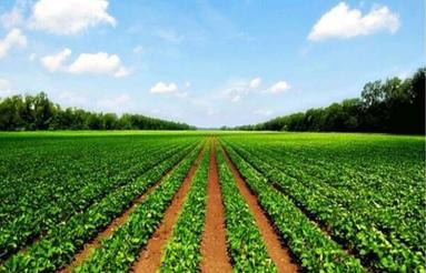 فروش زمین کشاورزی 2000 متر در گتاب - خراط کلا