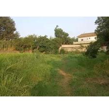 فروش زمین مسکونی 500 متر در دابودشت روستای چاره