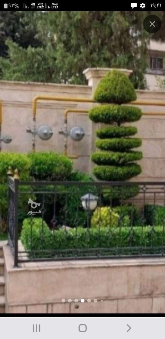 کارگر باغبان و نظافتچی هستم - علی اصغر اکبری