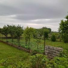 فروش زمین باغی 228 متر سردار جنگل روشنده گیلان رضوانشهر