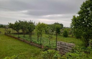 فروش زمین باغی 228 متر سردار جنگل روشنده گیلان رضوانشهر