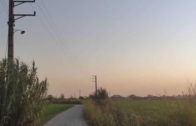 فروش زمین مسکونی 100 متر در کاله