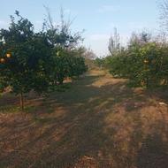 3پلاک زمین1026متری در هلیدشت بابل