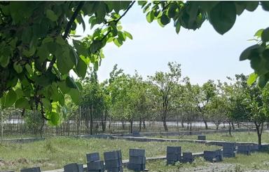 فروش زمین 200متری درجاده کیاکلا