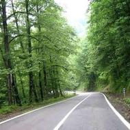 زمین توریستی جاده عباس اباد / سند دار