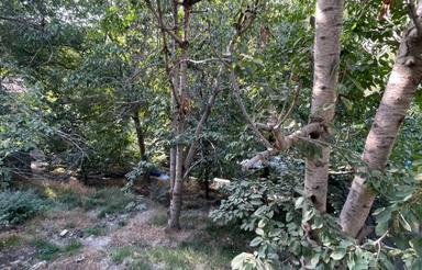 فروش زمین 170 متری منطقه ییلاقی و کوهستانی امیری آخا