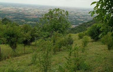 1900متر زمین با چشم انداز زیبا منطقه سراجخیل رستمکلا