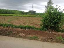 زمین طرح هادی280متر برآسفالت اطراف کسما در شیپور