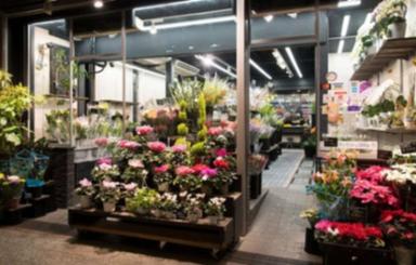 قلب تپنده منطقه/پرتردد و شلوغ/سوددهی بالا