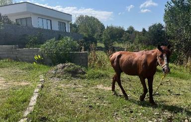 زمین 500 متری دهکده سبز سانخیل ساری