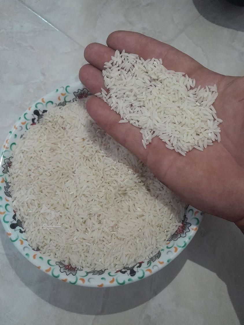 برنج طارم خوش عطر خوش پخت مال زمین خودمه