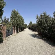 زمین 500شهرکی سرسبز تهران دشت نمکلان