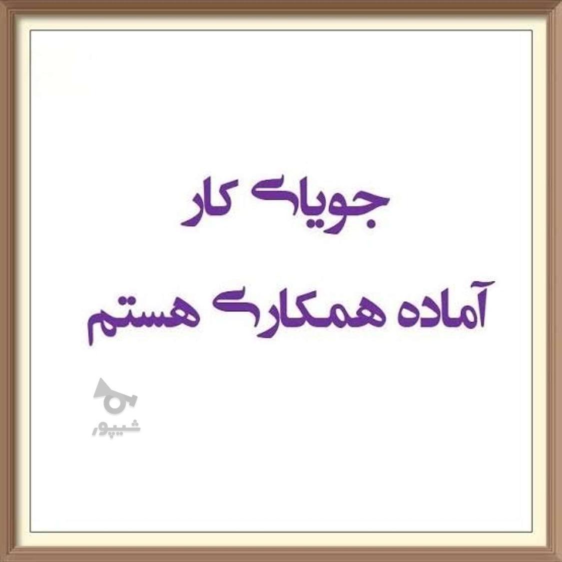 جویای کار هستم - مرتضی