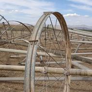 خرید وفروش بارانی ویلمو