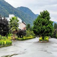 600 متر زمین شهرکی دامنه جنگل نخ شمال