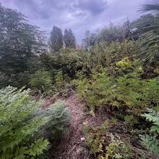 فروش زمین مسکونی 370 متر در خیابان امام خمینی