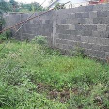 زمین مسکونی 440 متر در تازه آباد - رودسر