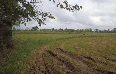 فروش ویلا 90000 متر در بلسبنه