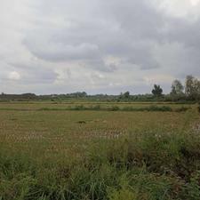 فروش ویلا 60000 متر در جاده کیسم