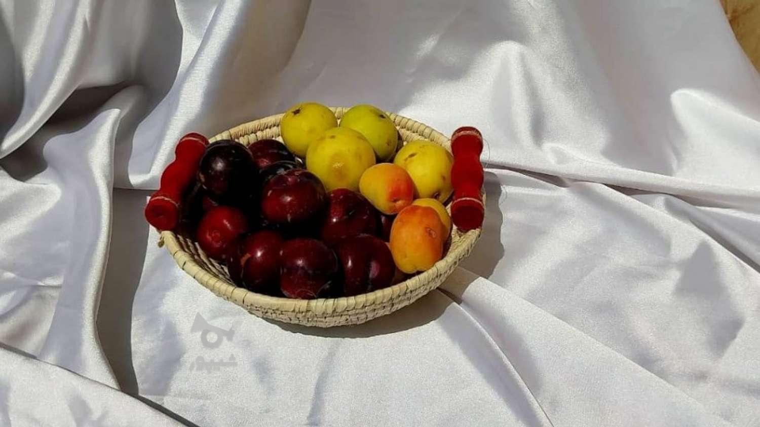 محصولات حصیری